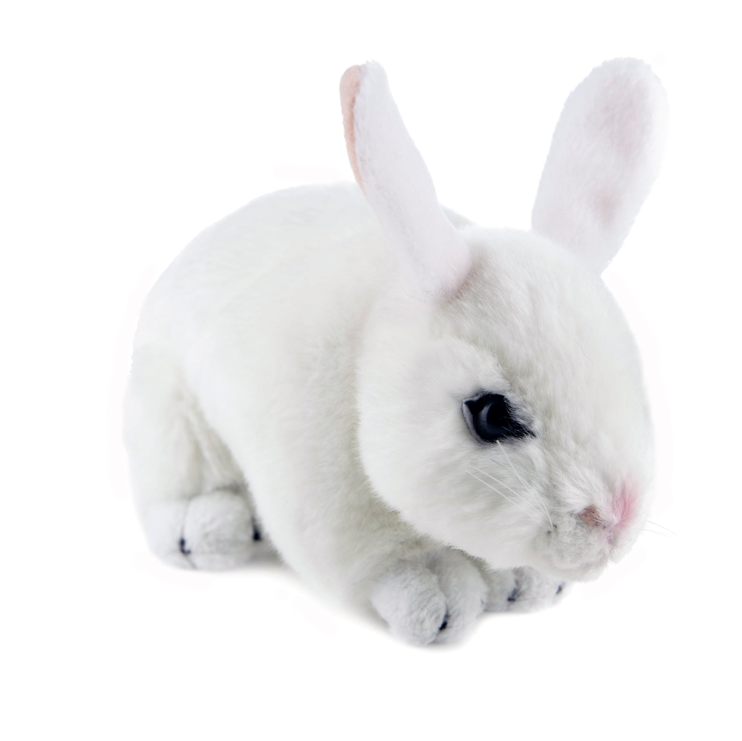 Cotton (Bunny - 25cm standing, white)