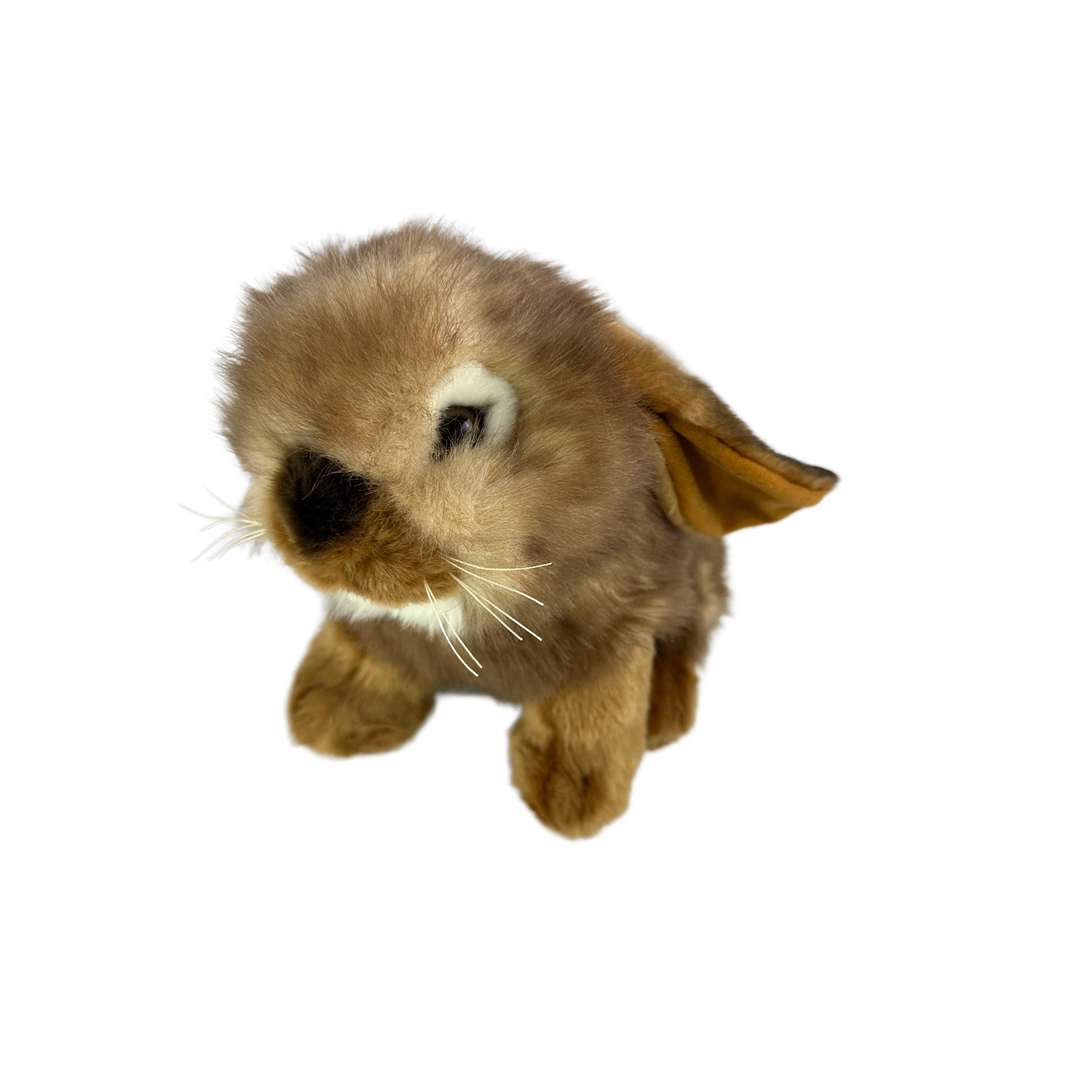 Cinnamon (Lop Eared Rabbit - 25cm sitting) - Image 2