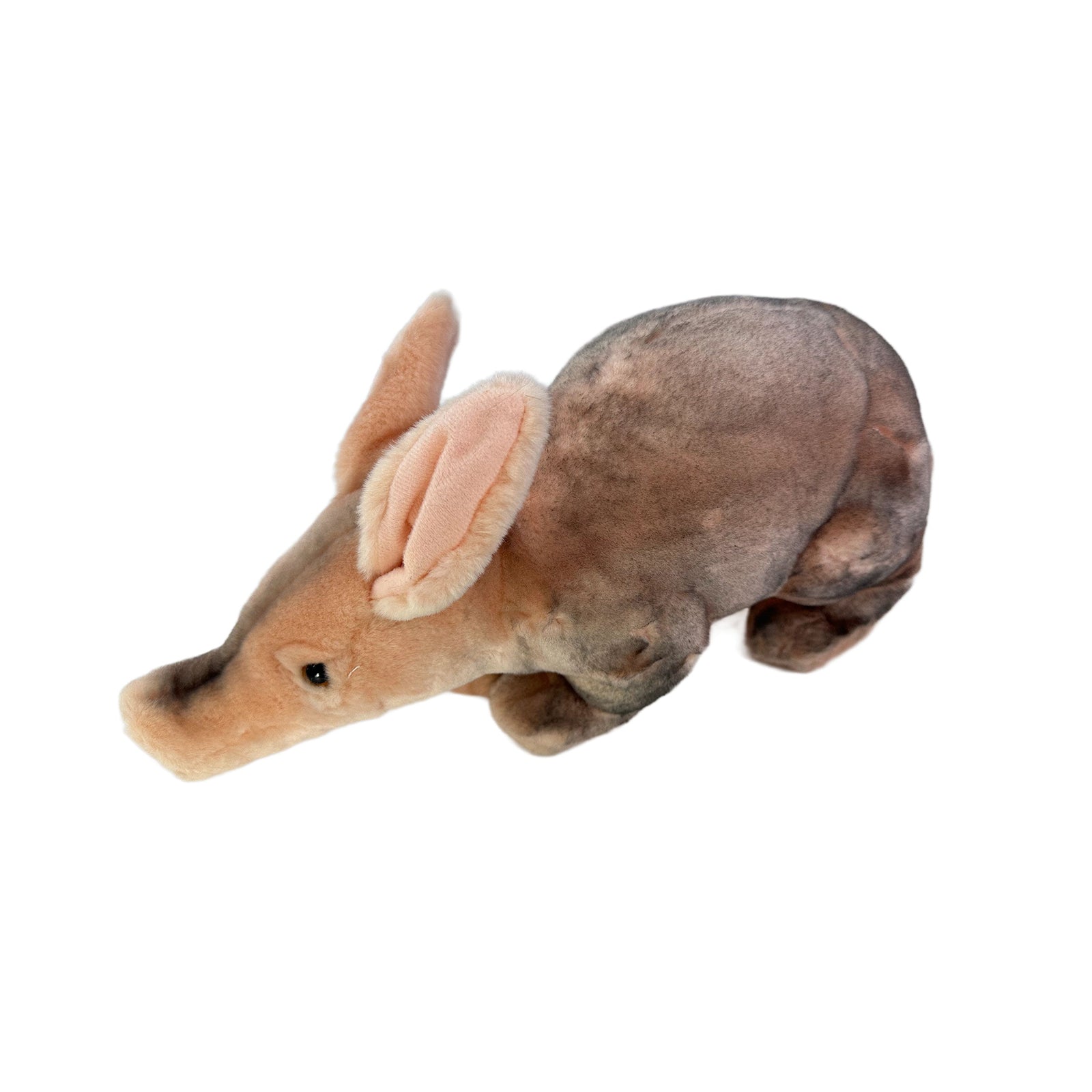 Anthony (Aardvark - 33cm) - Image 2