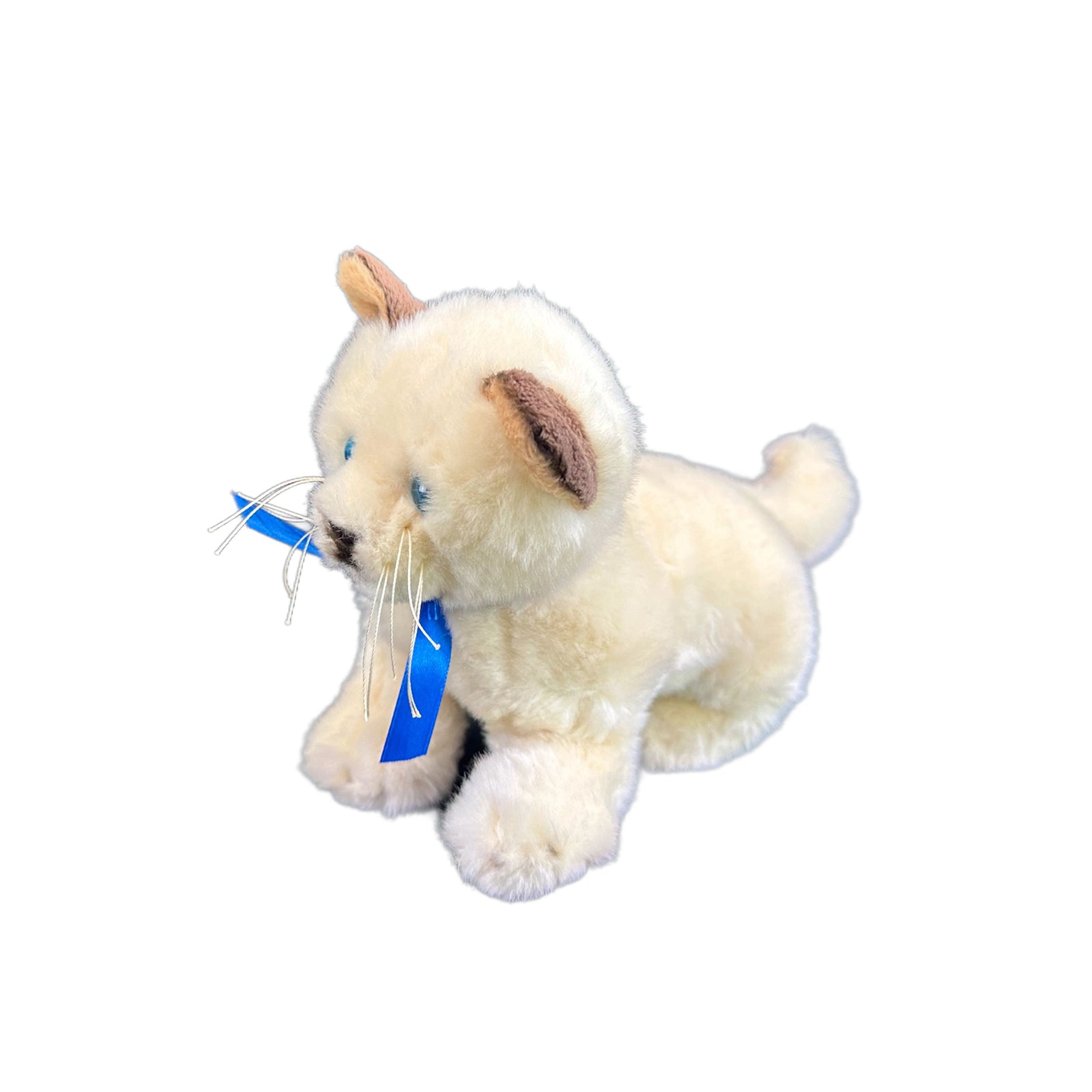 Bamboo (Kitten Siamese - 22cm floppy) - Image 2