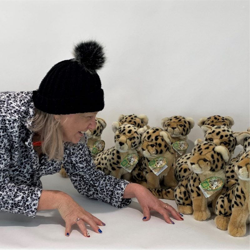 Calypso (Cheetah Cub - 26cm sitting) - Image 3