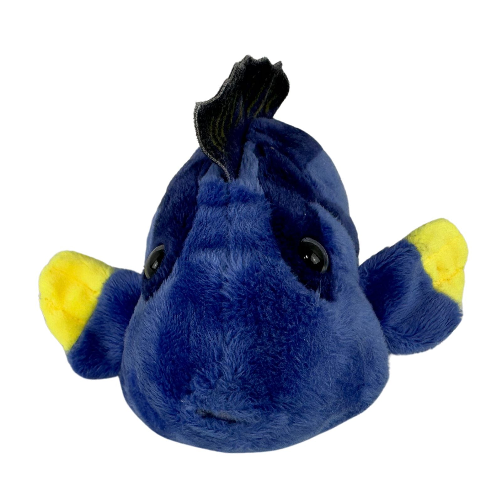 Koral (Blue Tang) - Image 3