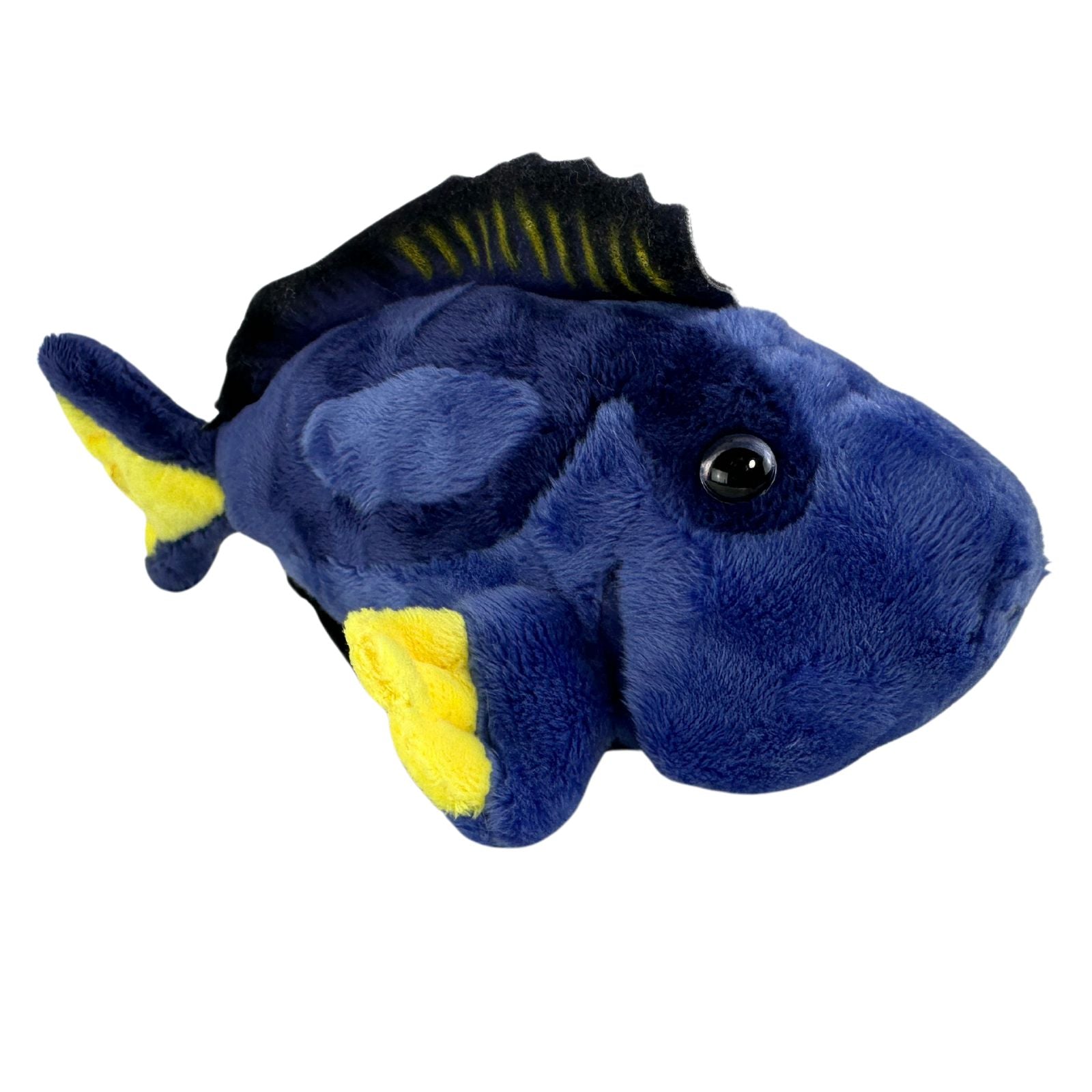 Koral (Blue Tang) - Image 2